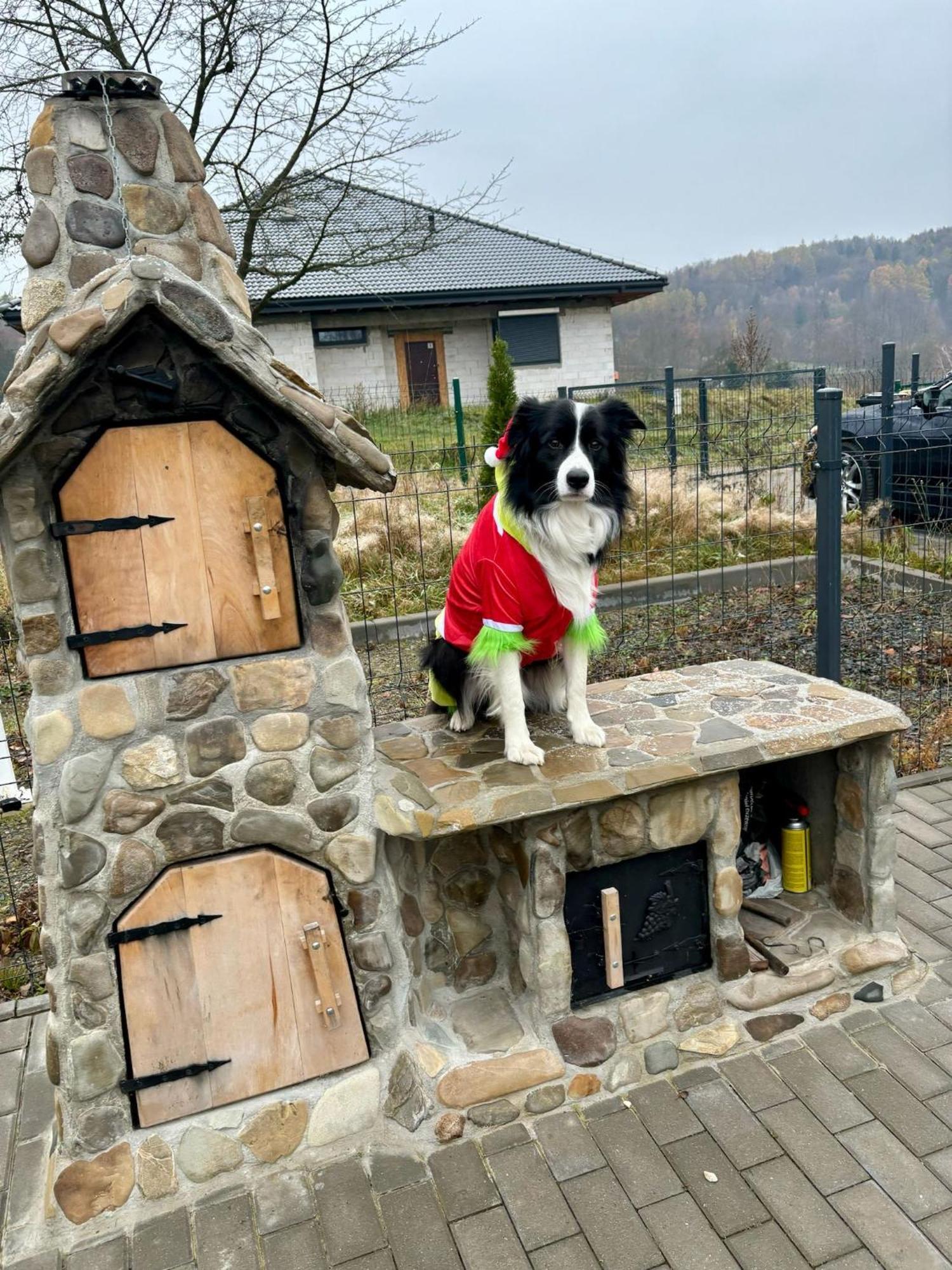 Śnieżna Chatka - Sosnówka Karpacz Exterior foto